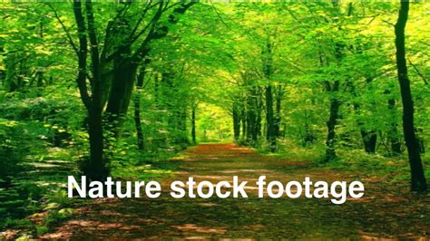 pixabay|Free Stock Video Footage & Video Clips